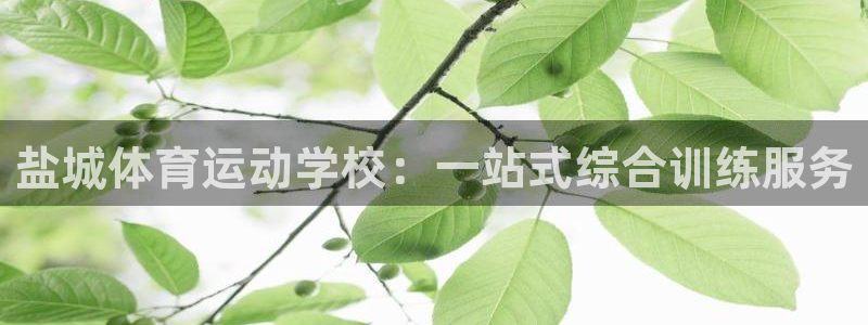 oety欧亿体育官网下载联系电话:盐城体育运动学校:一站式综