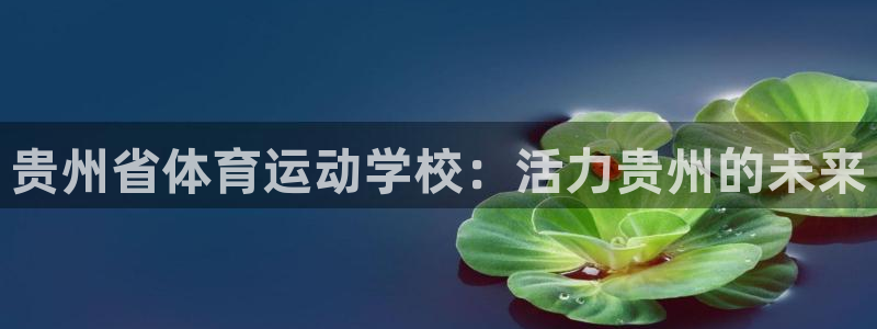 欧亿体育官方正版app娱乐首页网站大全:贵州省体育运动学校: