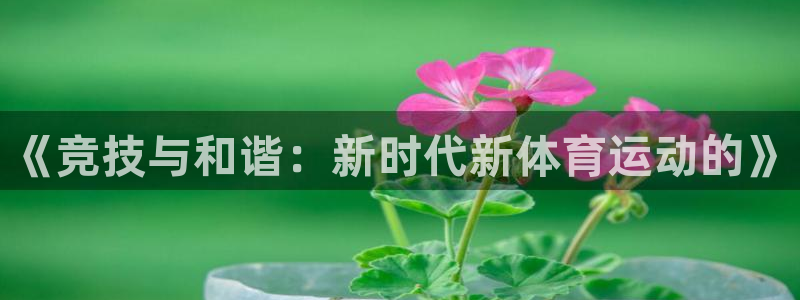 注册欧亿体育官方正版app:《竞技与和谐:新时代新体育运动的